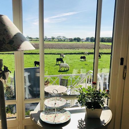 Bed & Breakfast Het Zilte Zand - Luxe Ontbijt - Gratis Parking - Westende Middelkerke Exterior foto